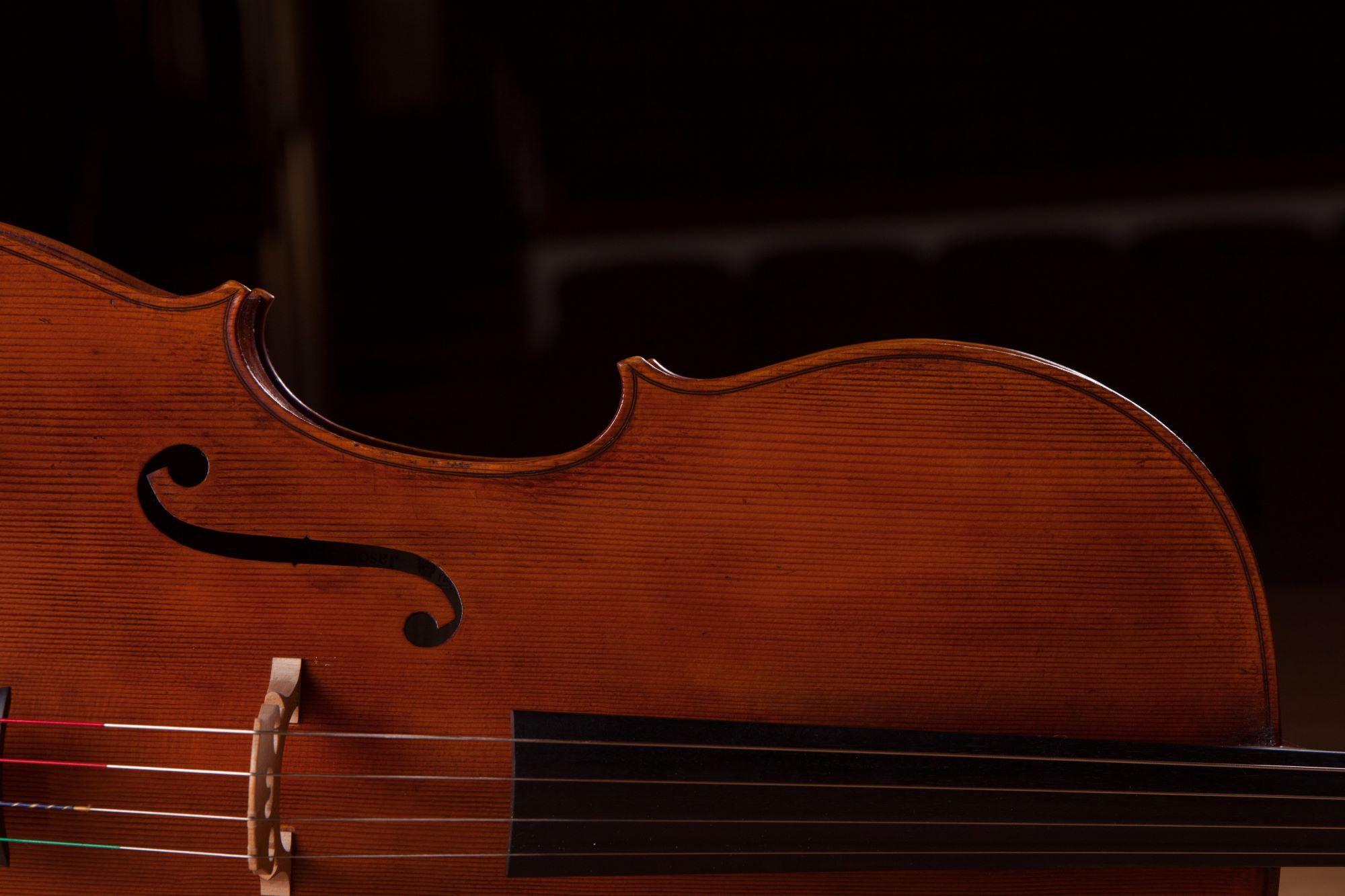 Violin against a black backdrop.