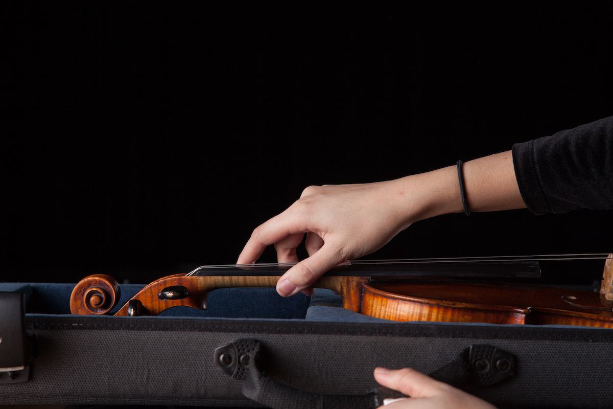 Violin stock photo.