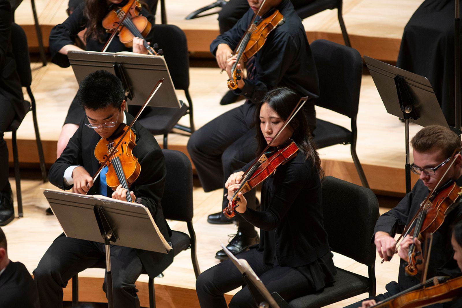 Orchestra members play violins.
