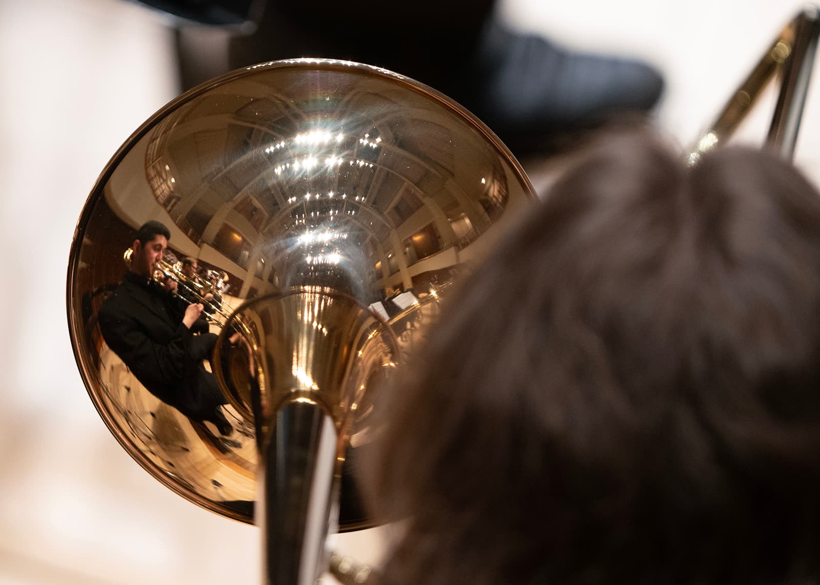 Student artist facing their instrument.