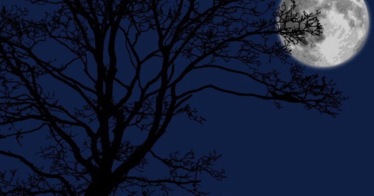 A Monster Calls