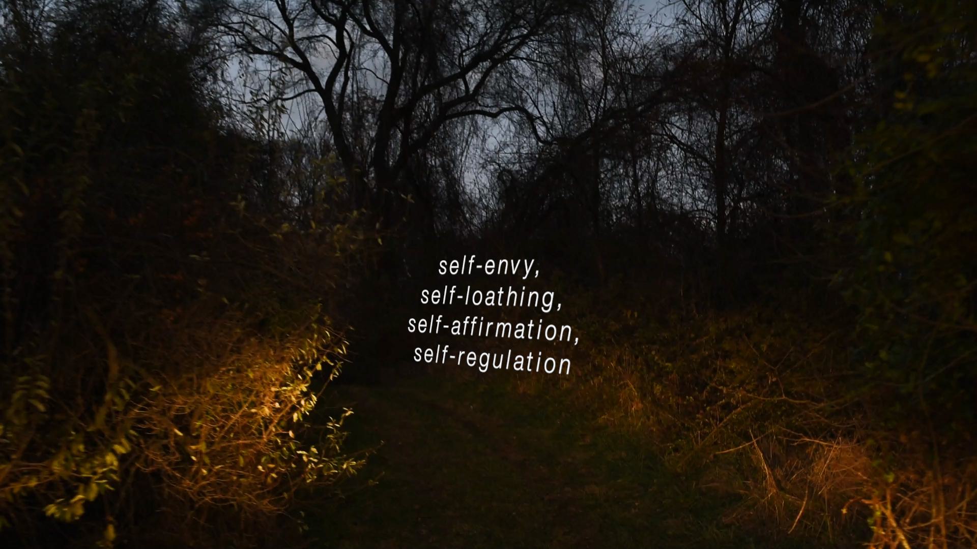 The image is a still from Ally Christmas's video titled Syncing. The still shows a dark path within a forrest with a small area lit by a harsh yellow light. On the image is the following sentence: self-envy, self-loathing, self-affirmation, self-regulation.