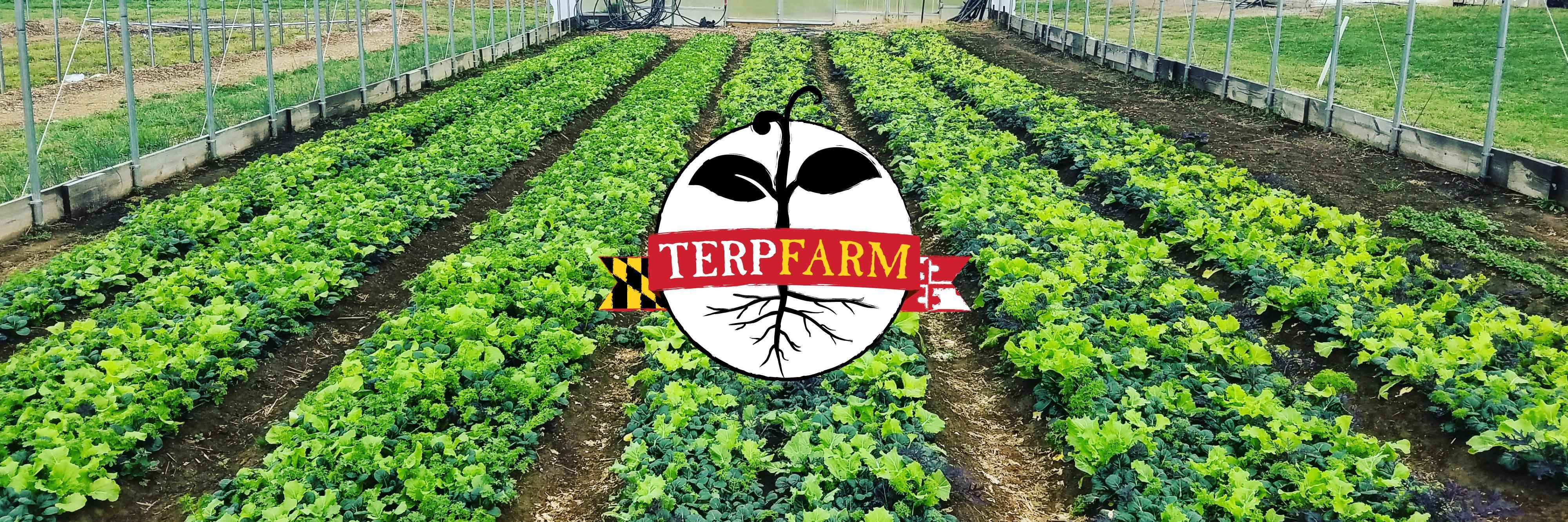 Terp Farm Field and logo