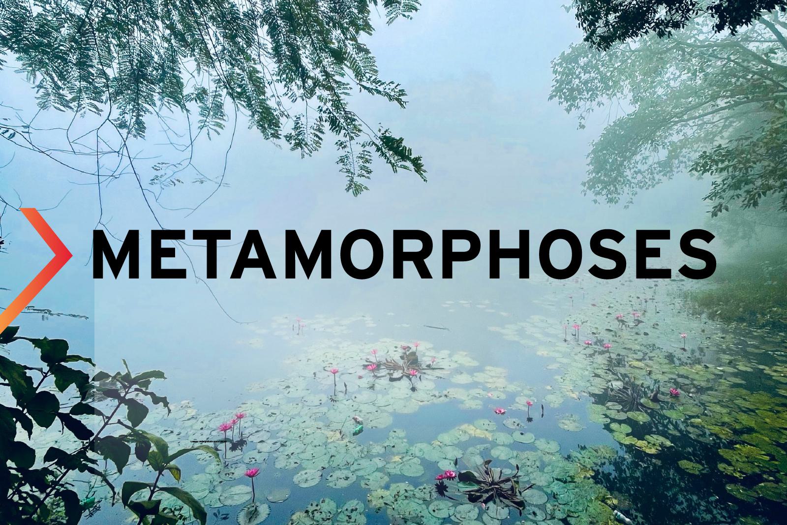 A small pond with text overlay, Metamorphoses.