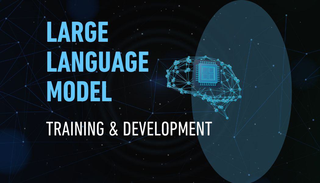 LLM Training & Development