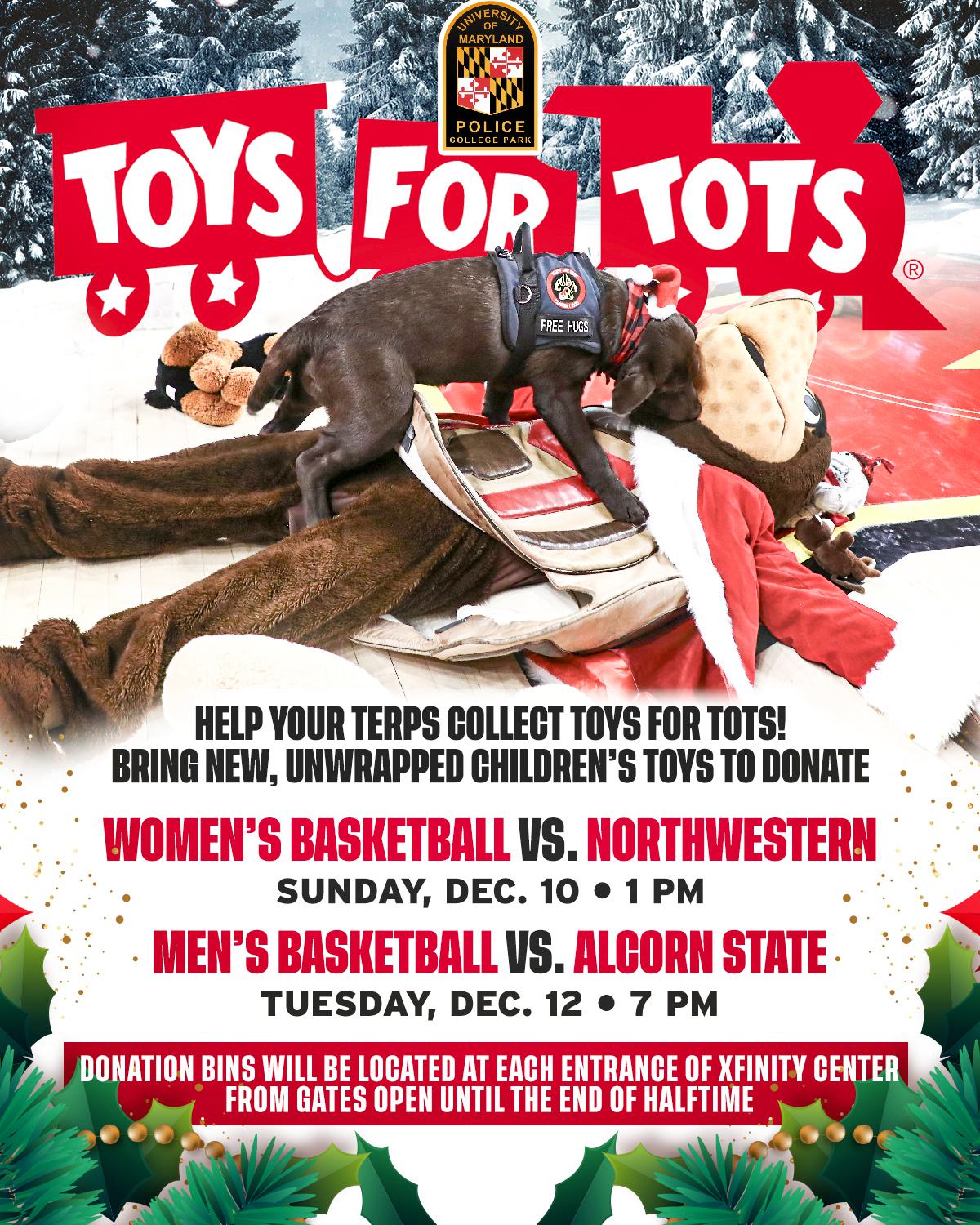 Toys for Tots image