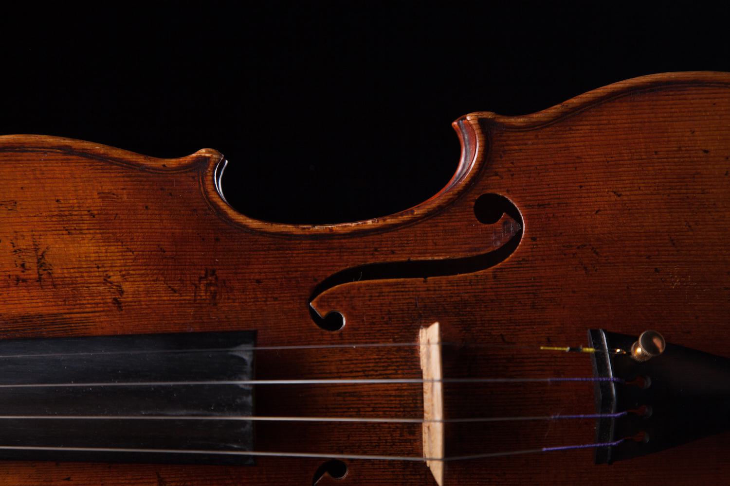 Violin stock image.