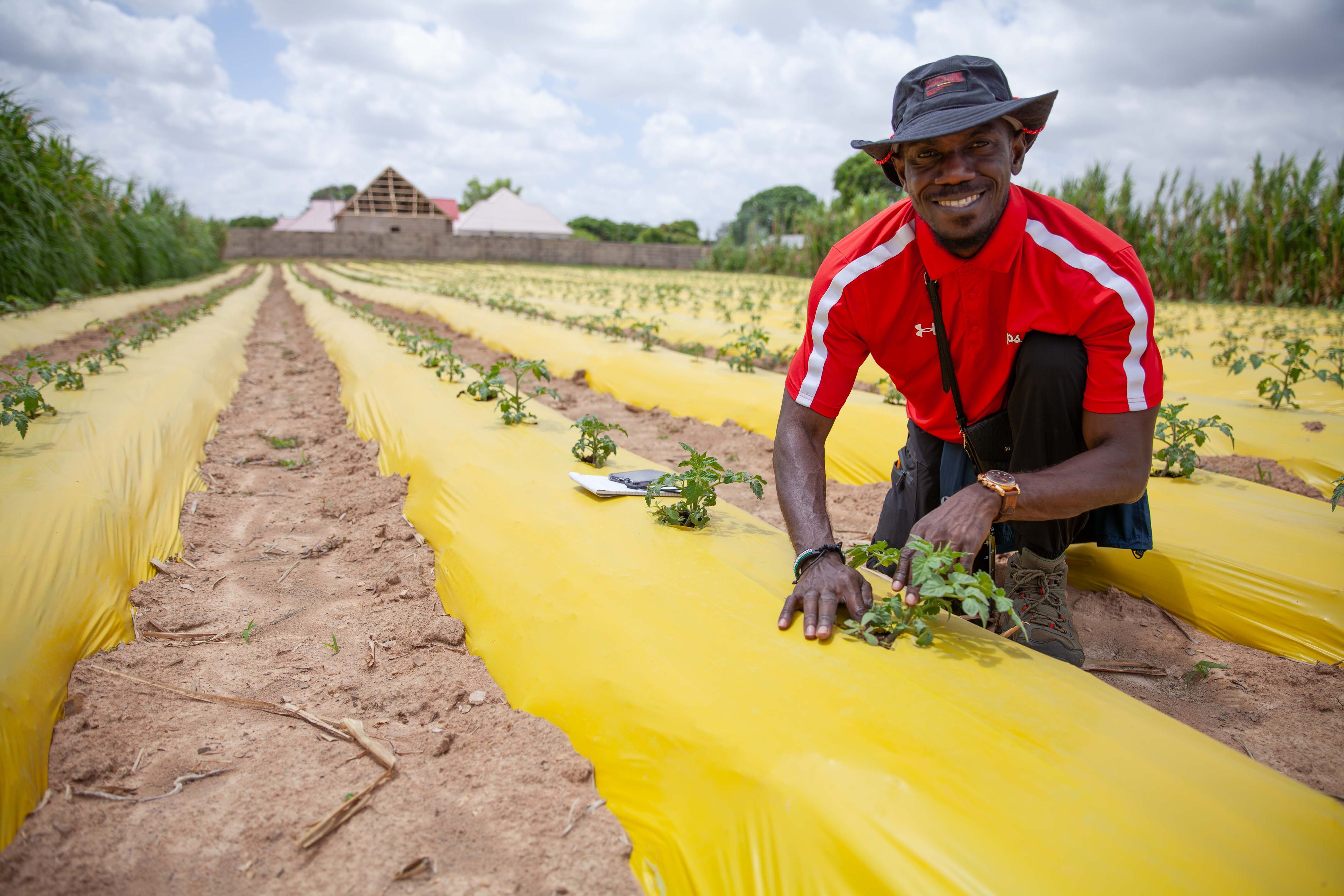 image of TZ 202531 250105