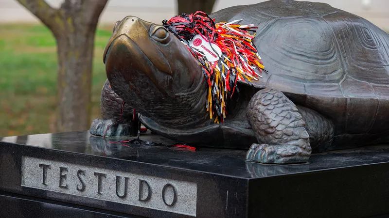 A bronze Testudo statue outside of Riggs Alumni Center with a Homecoming pom-pom on its back.
