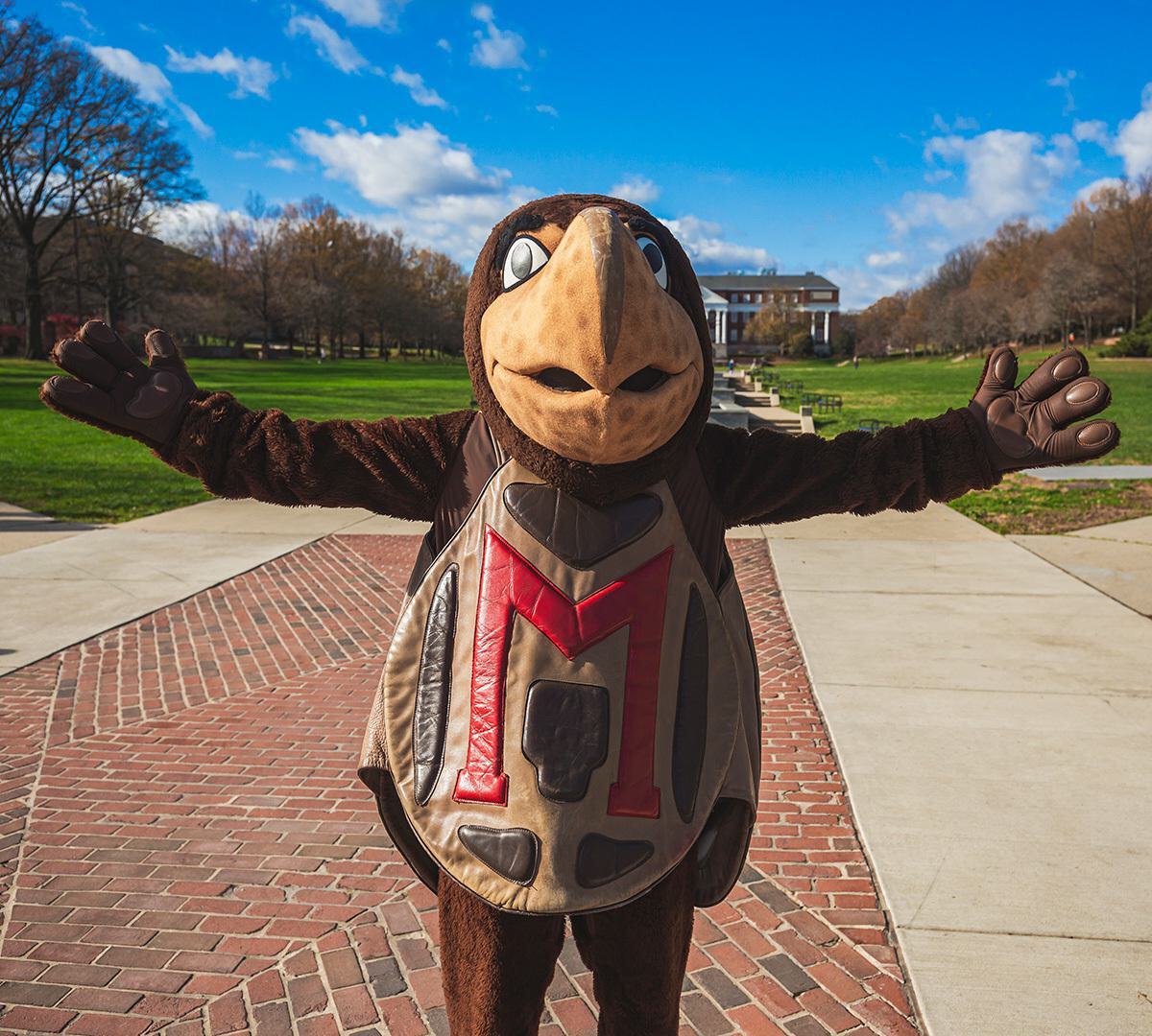 UMD Mascot Testudo poses with arms open wide on McKeldin Mall.