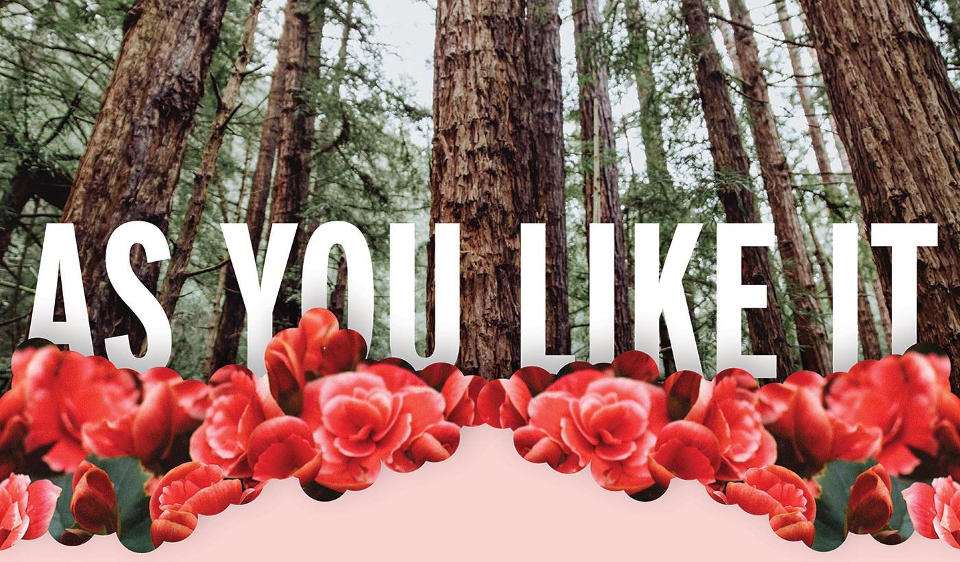 As You Like It